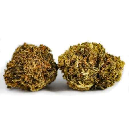 Si te gusta el melon y los cogollos cbd, esta es tu genetica